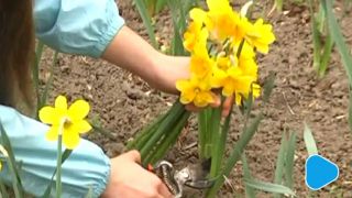 Pola Nadziei obrodziły miłością