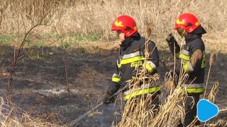 Nowe samochody dla radomskiej OSP