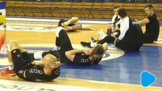 Pajenk w Cerrad Czarnych