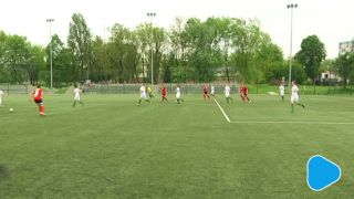 Żbik w sidłach Zamłynia