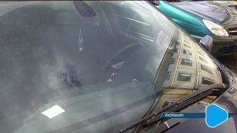 Policja apeluje do rodziców i właścicieli zwierząt