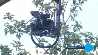 Kameralne Lato startuje w lipcu