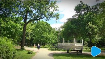 „Spacer po Radomiu” na zielono