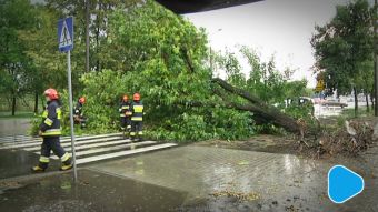 Nawałnica nad Radomiem. Uszkodzone budynki i zalane ulice