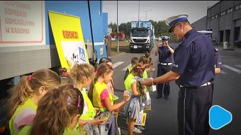 Kierowco! Nie polujemy na zebrach