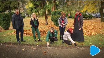 „Pola Nadziei” zakwitną w przyszłym roku