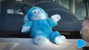 Pluszaki dla małych pacjentów pogotowia