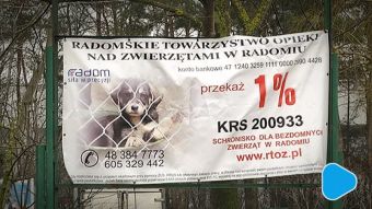 Radomskie schronisko prosi o wsparcie 1%
