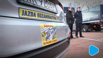 „Kierowco nie polujemy na zebrach”