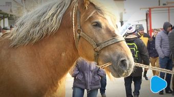 Rozpoczęły się Skaryszewskie Wstępy 2019