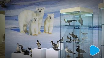 Muzeum zaprasza na wystawę o polskich polarnikach