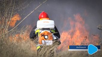 Płoną trawy. W regionie radomskim padł niechlubny rekord