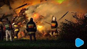 Płona trawy i lasy. Apele strażaków nie skutkują