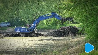 Czyszczą stawy kolmatacyjne na Borkach