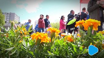 Sadzonki za makulaturę. Zebrano ponad 8 ton