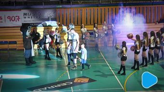 Pajenk pod radomską siatką