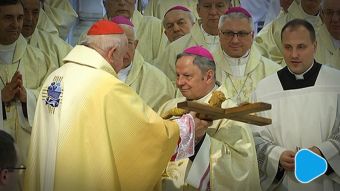 Złoty jubileusz radomskich biskupów