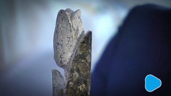 Granitowe Tulipany rozdane