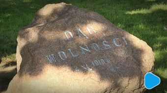 Dąb Wolności ma 100 lat