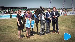 Klacz Echo Asteria najlepszym koniem championatu w Piastowie 