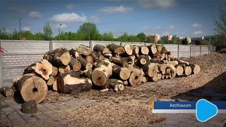 Byli dyrektor i kierownik ZUK, staną przed sądem