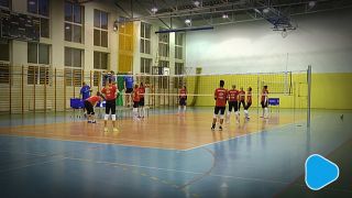 Szpak rozgrywającą