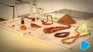 Królestwo bursztynu w Muzeum im. Jacka Malczewskiego