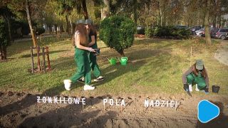Ruszyły charytatywne „Pola Nadziei”