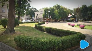 Bukszpany niszczone przez ćmę 