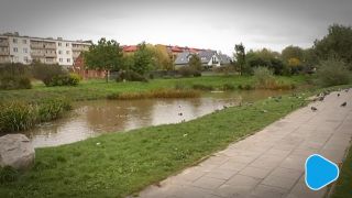 Jaki ma być park na Gołębiowie II?