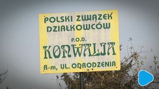Strefa przylotniskowa. Co z ogródkami działkowymi?