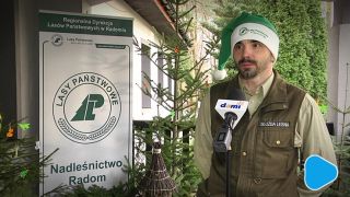 Stroisz w prezencie