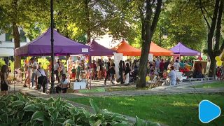 Piknik w Parku Kościuszki 