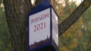 Anima Urbis 2021. Wzburzona krew