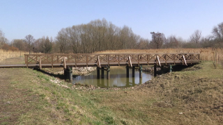 Park Kulturowy Stary Radom. Miasto ogłosiło przetarg 