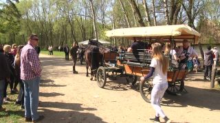Bryczką po Mazowszu