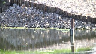 Polder uchroni przed zalaniem ul. Maratońską
