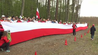 Bieg Konstytucji i Bieg Flagi