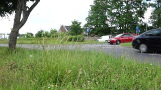 Wysoka trawa zmorą kierowców. Koszenia już trwają, choć nie wszędzie