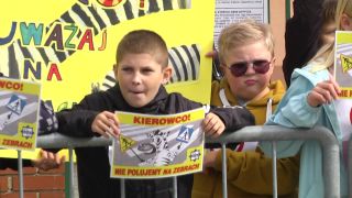 Kierowco, nie poluj na pasach!