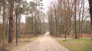 Przed nami 160. rocznica wybuchu powstania styczniowego
