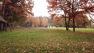 Noc Muzeów w Muzeum Wsi Radomskiej