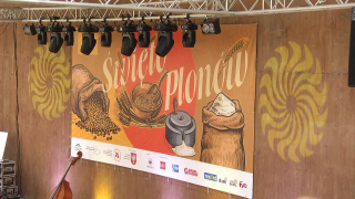 Święta Plonów w Muzeum Wsi Radomskiej
