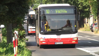 Dzień bez samochodu