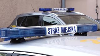 Ponad 15 tys. interwencji straży miejskiej