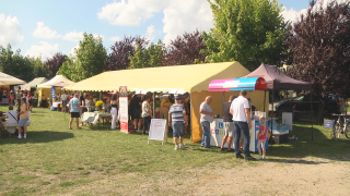 Szydłowiec stolicą lokalnych przysmaków