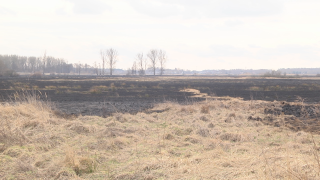 Spłonęło 170 ha nieużytków. Strażacy apelują 