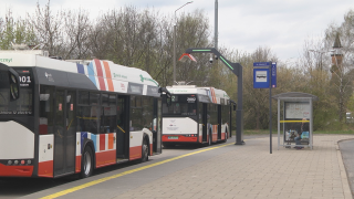 Ponad 1000 propozycji imion dla autobusów