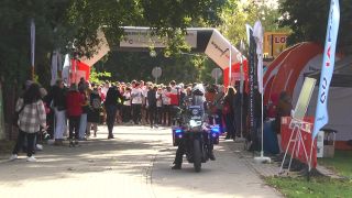 Sport i profilaktyka