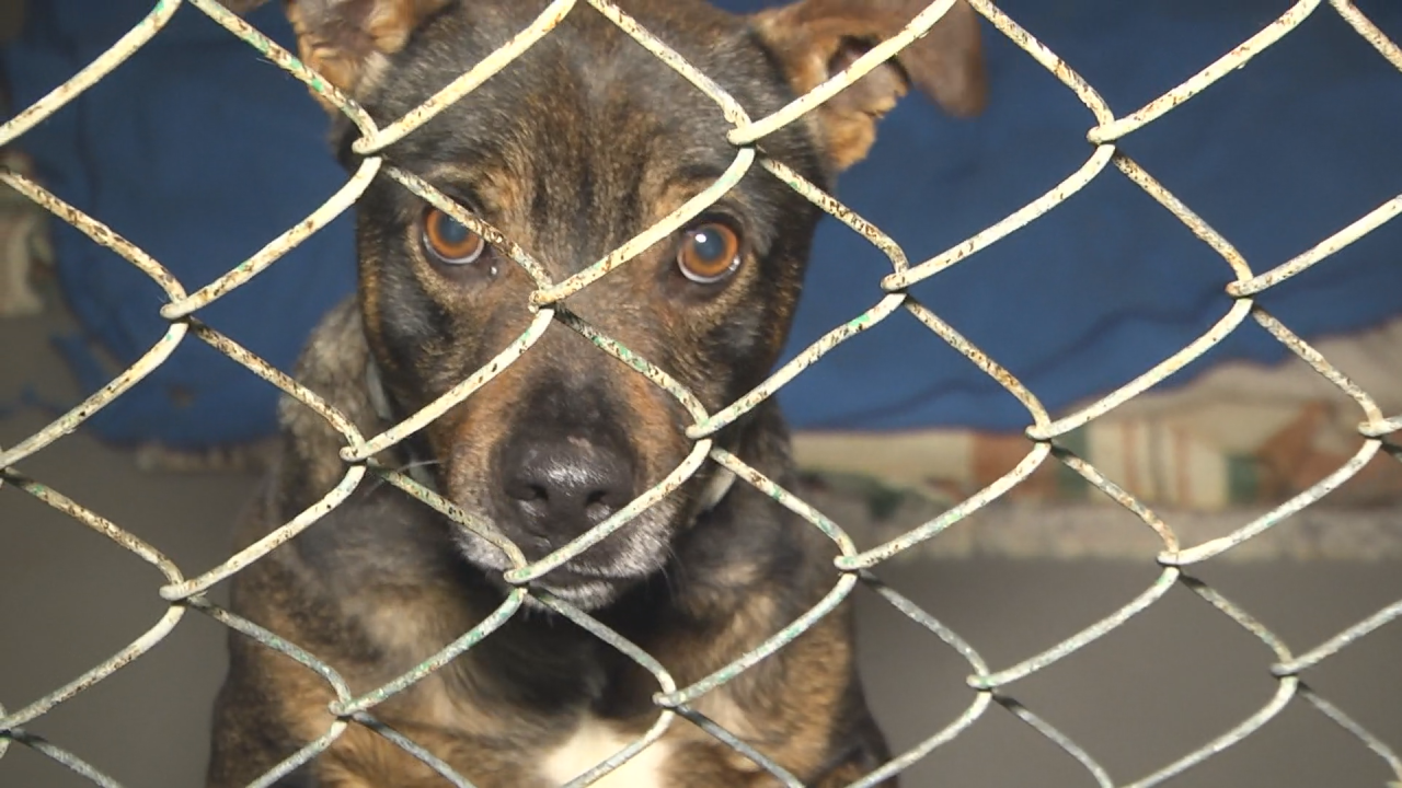 INFORMACJE 04.02.2026